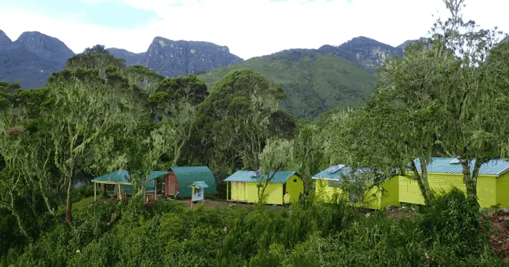 Rwenzori Camp