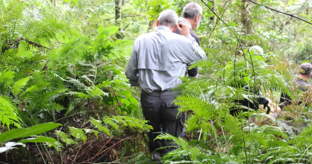 gorilla trekkers bwindi Gorilla trek Bwindi