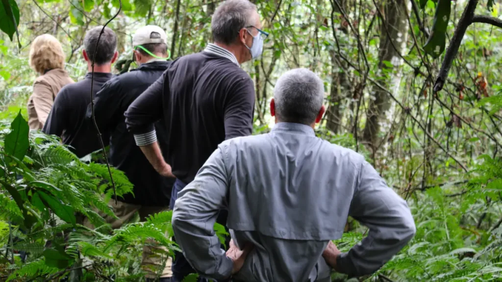 gorilla trekking rules