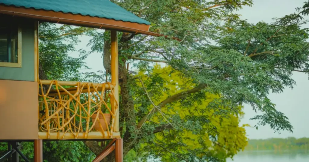 Murchison River Lodge is a lodge / hotel in Murchison Falls national park